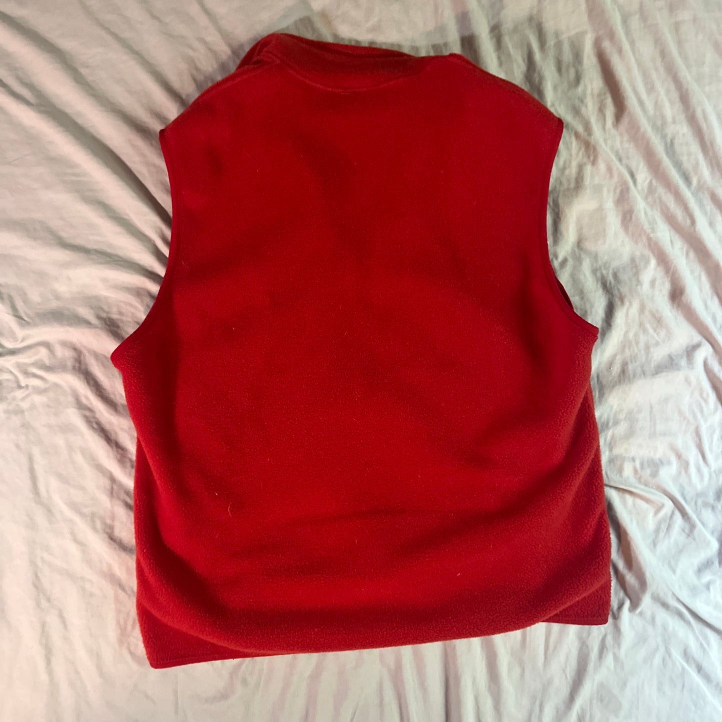 Patagonia Synchilla Vest (L)