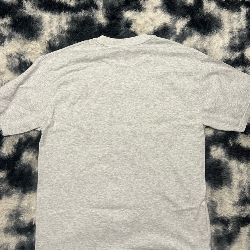 Vintage Charleston S. Carolina Gray T-Shirt