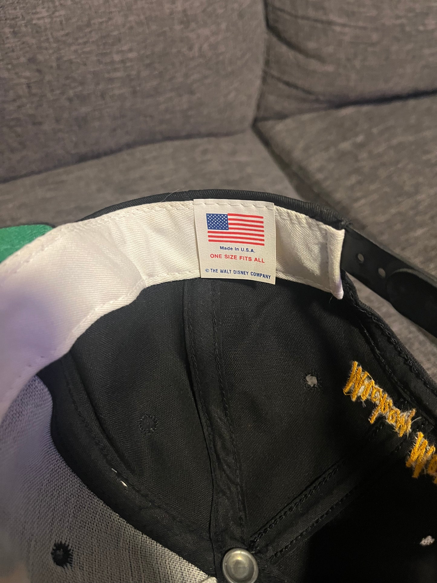 Mickey Mouse Hat