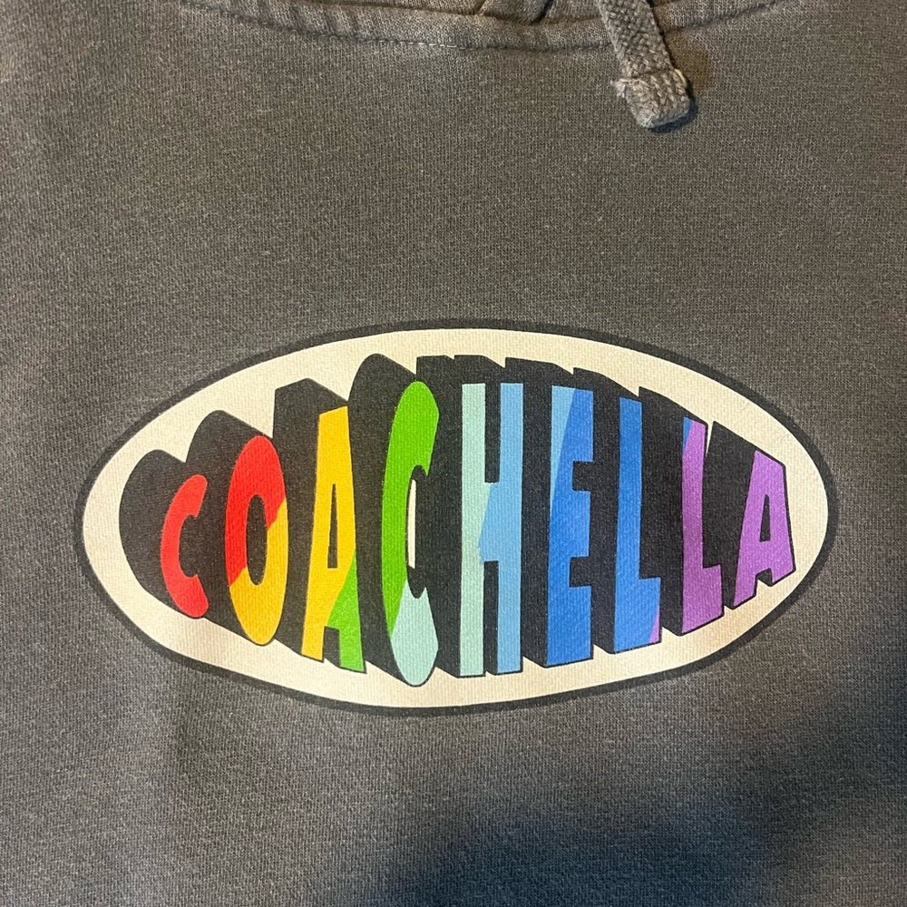 Gray Coachella Hoodie