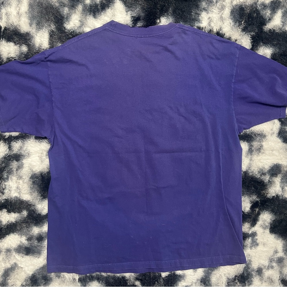 Vintage Tampa Bay Devil Rays T-Shirt