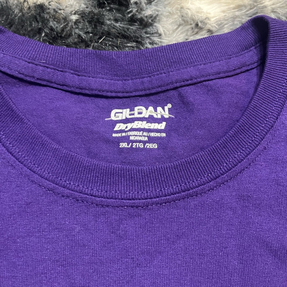 Balitmore Ravens Team of Destiny Men's Tee