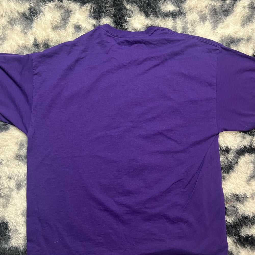 Balitmore Ravens Team of Destiny Men's Tee